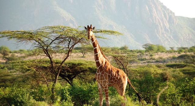 東京のホテル(ブッキングドットコム)