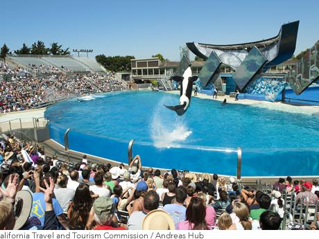 サンディエゴブッキングドットコム海外ホテル予約