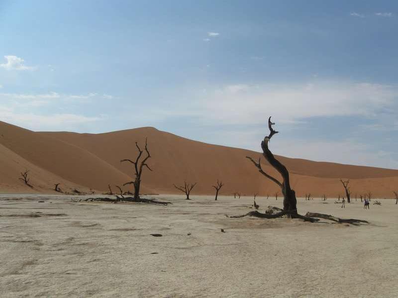 ウイントフーク　ブッキングドットコム