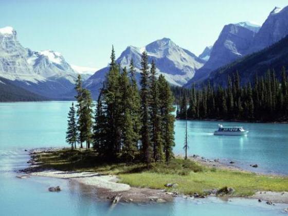 ジャスパー　ブッキングドットコム