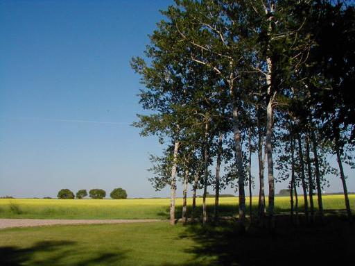 ウイニペグ　ブッキングドットコム